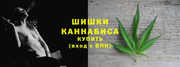 эйфоретик Бородино