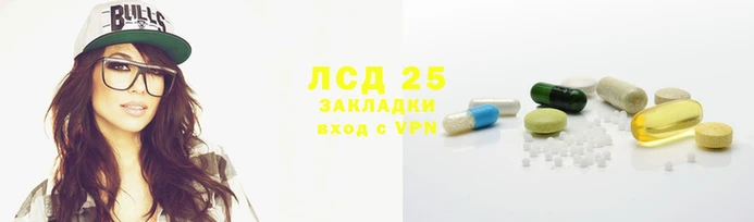 эйфоретик Бородино