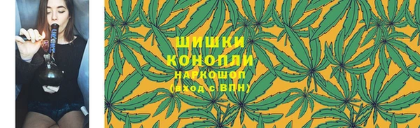 эйфоретик Бородино
