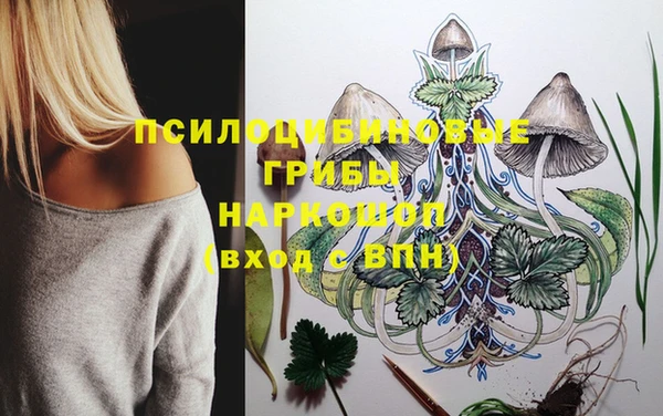 скорость Козельск
