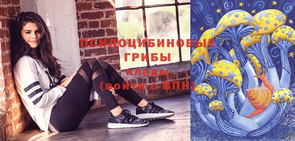 a pvp Новозыбков
