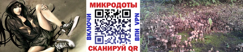 Псилоцибиновые грибы Psilocybine cubensis Курлово
